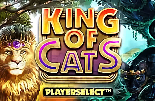 Play King of Cats