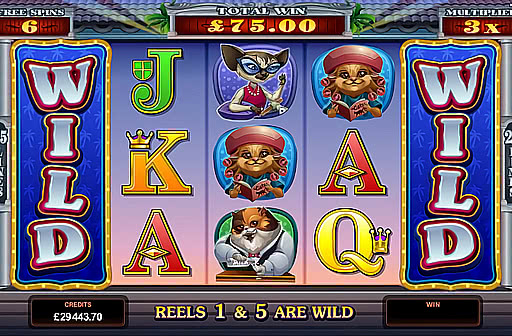 Play Kitty Cabana
