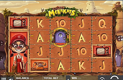 Play Meet the Meerkats
