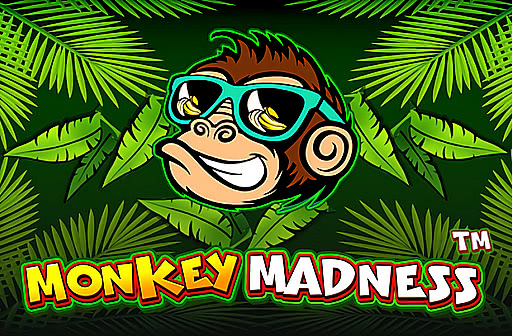 Play Monkey Madness