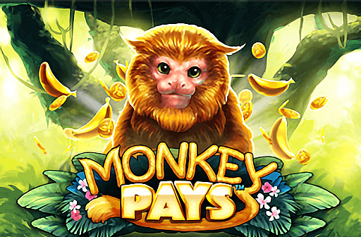 Play Monkey Pays