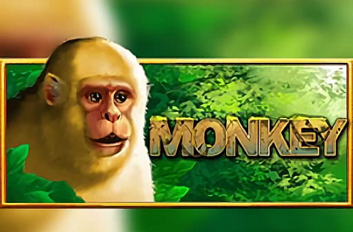 Play Monkey