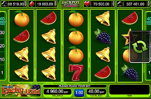 Play More Lucky & Wild