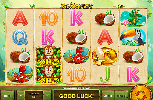 Play Mr. Monkey