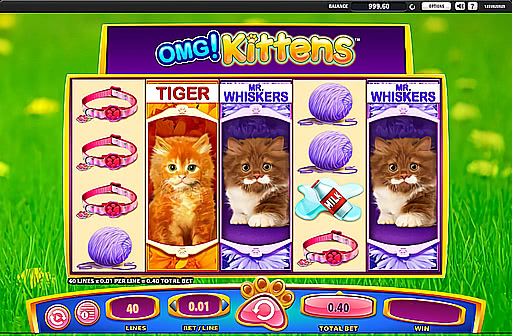 Play OMG Kittens