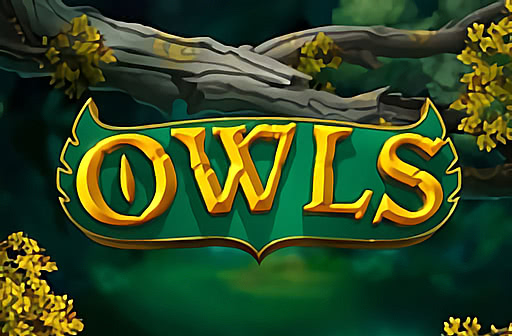 Play Owls