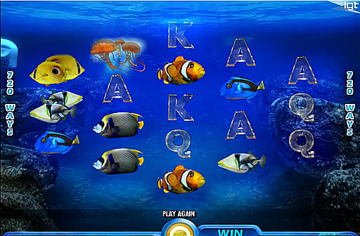 Play Pacific Paradise