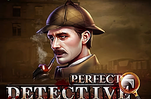 Play Perfect Detective