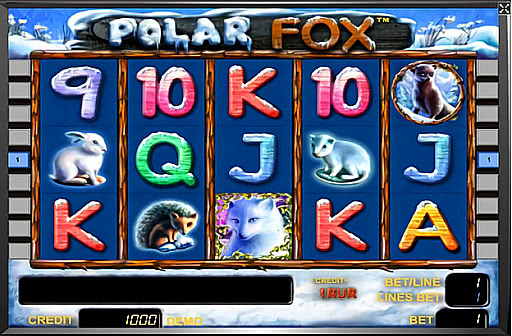 Play Polar Fox