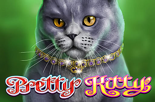 Play Pretty Kitty