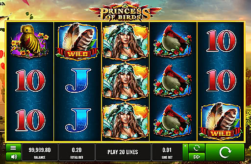 Play Princess of Birds