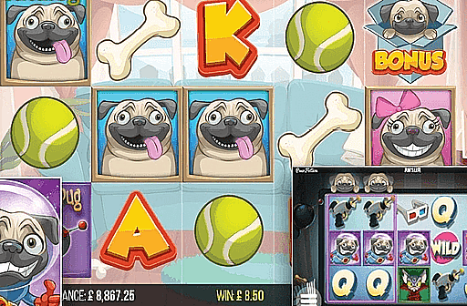 Play Pugs Life