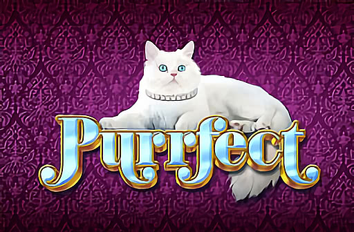 Play Purrfect