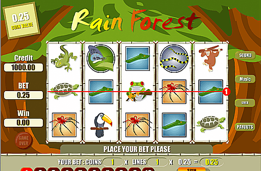 Play Rain Forest