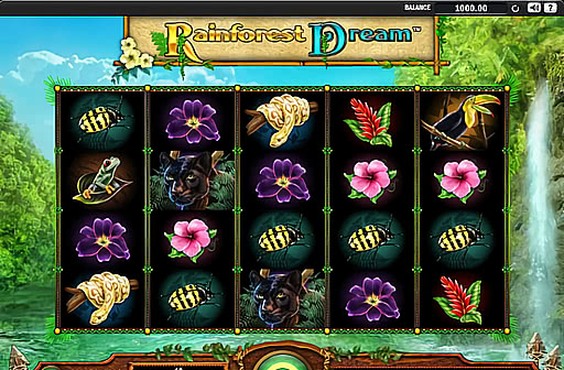 Play Rainforest Dream