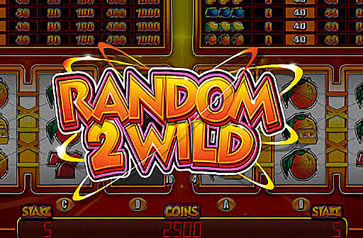Play Random 2 Wild