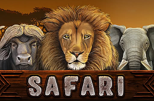 Play Safari
