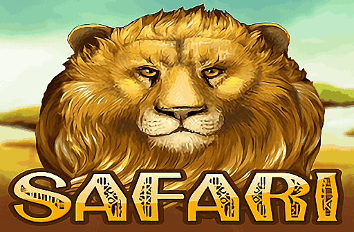 Play Safari