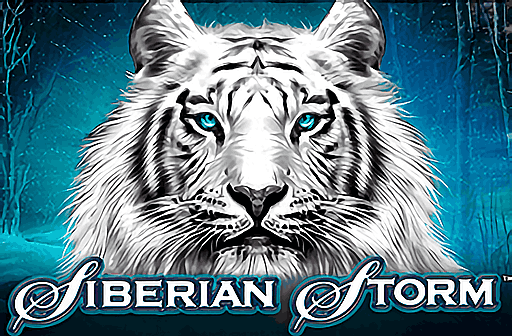 Play Siberian Storm Dual Play