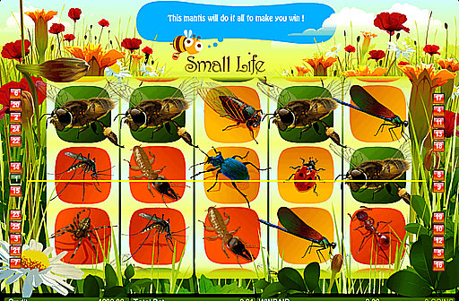 Play Small Life