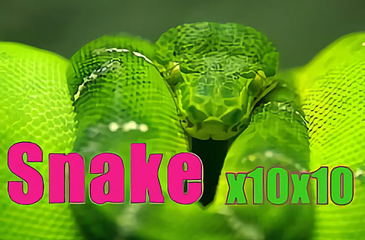 Play Snake