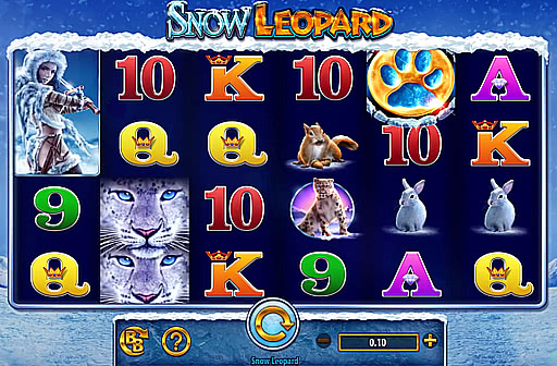 Play Snow Leopard