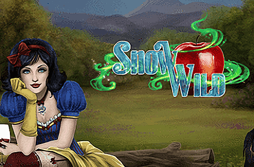 Play Snow Wild