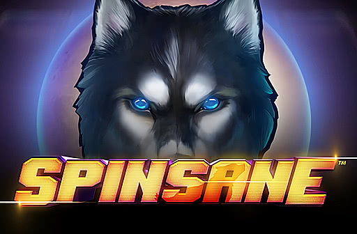 Play Spinsane