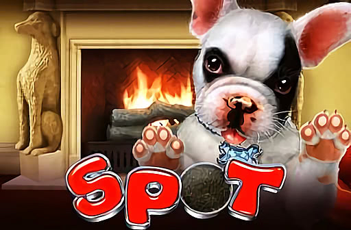 Play Spot