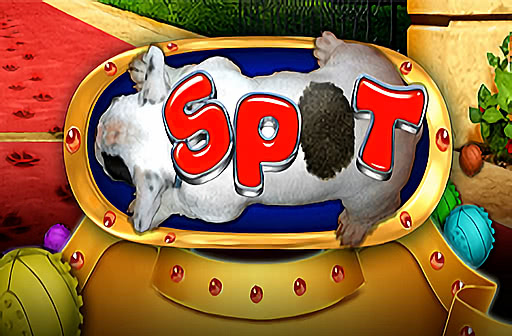 Play Spot