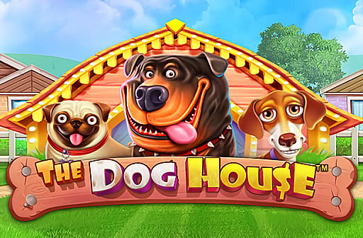 Play The Dog House