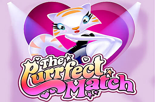 Play The Purrfect Match