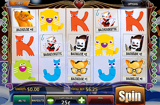 Play The Puuurfect Match