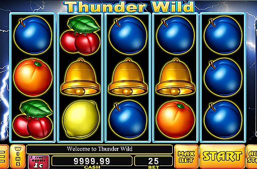 Play Thunder Wild