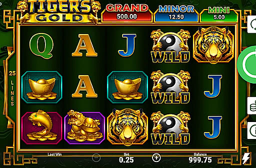 Play Tiger's Gold Hold and Win