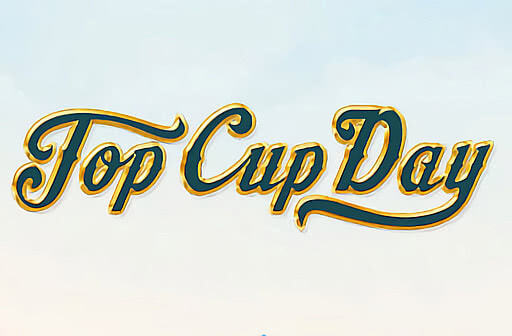 Play Top Cup Day