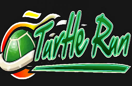 Play Turtle Run