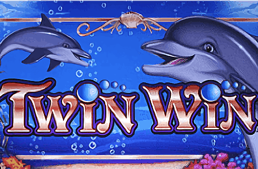 Play Twin Win