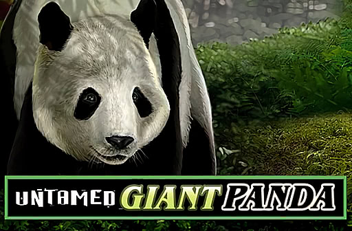 Play Untamed Giant Panda
