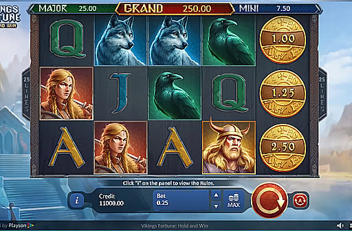 Play Vikings Fortune Hold and Win