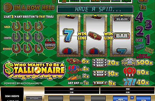 Play Who Wants to be a Stallionaire