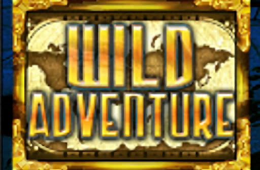 Play Wild Adventure