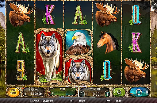 Play Wild Animals