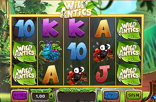 Play Wild Antics