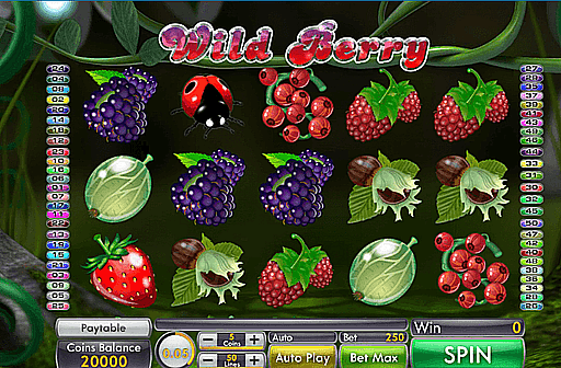 Play Wild Berry