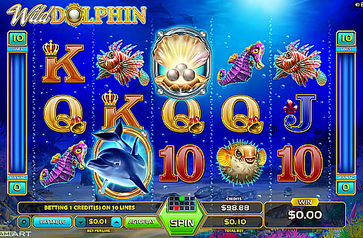 Wild Dolphin - Big Win - High Stakes