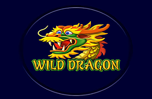 Play Wild Dragon