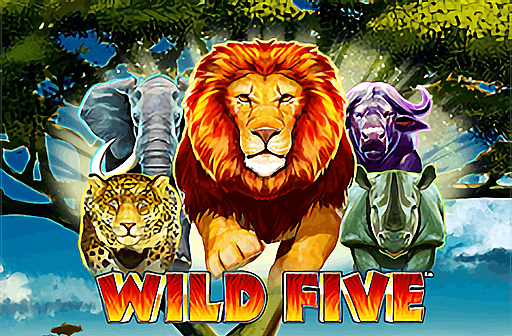 Play Wild Five