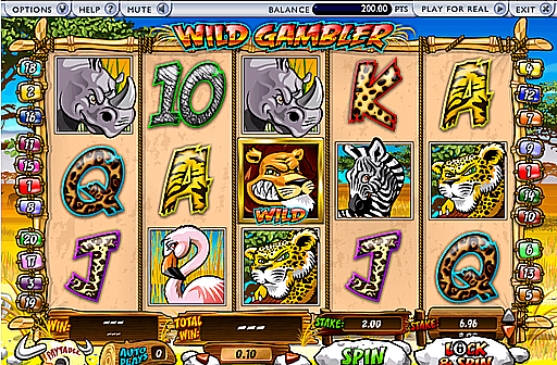 Play Wild Gambler