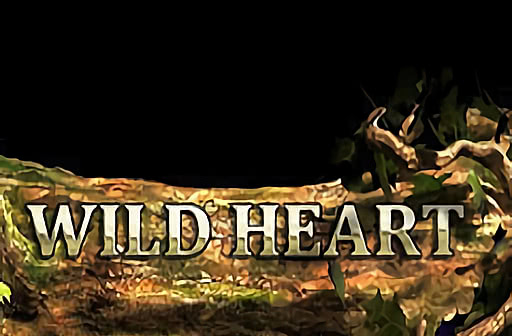 Play Wild Heart